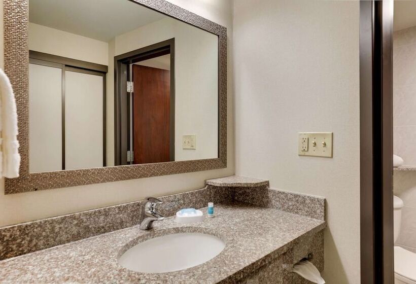 스위트, Drury Plaza Hotel Columbus Downtown