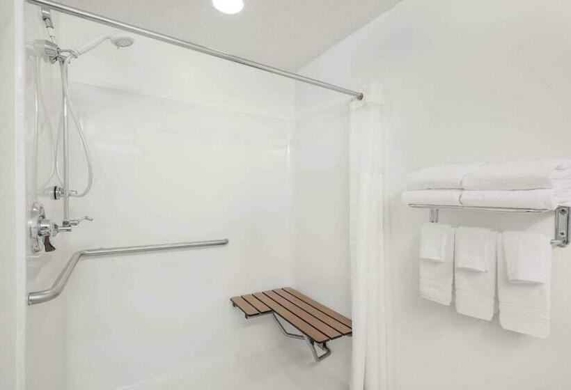 适合残疾人使用的标准间, Microtel Inn & Suites By Wyndham Hamburg