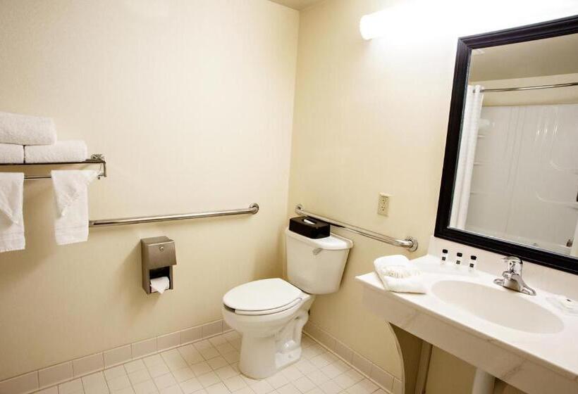 Номер Стандарт Кровать Кинг Адаптированный для Инвалидов, Country Inn & Suites By Radisson, Harrisburg West Mechanicsburg