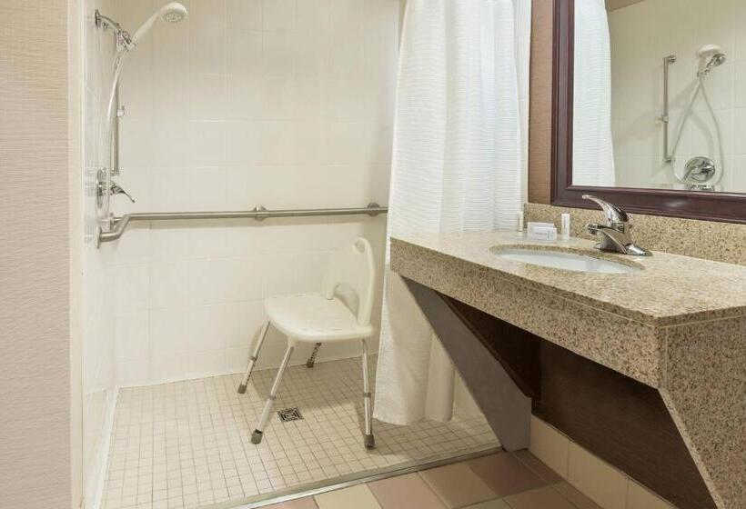 스탠다드 룸 킹사이즈 침대, Fairfield Inn & Suites By Marriott Springdale