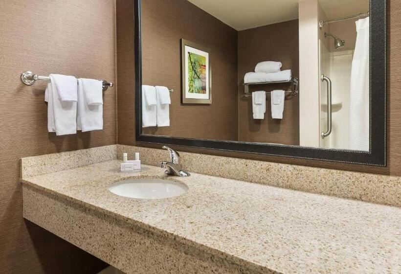 스위트 킹사이즈 침대, Fairfield Inn & Suites By Marriott Springdale