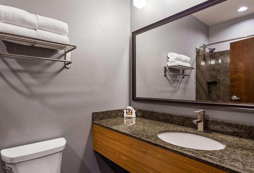 Стандартный Номер Кровать Кинг, Best Western Plus Williston Hotel & Suites