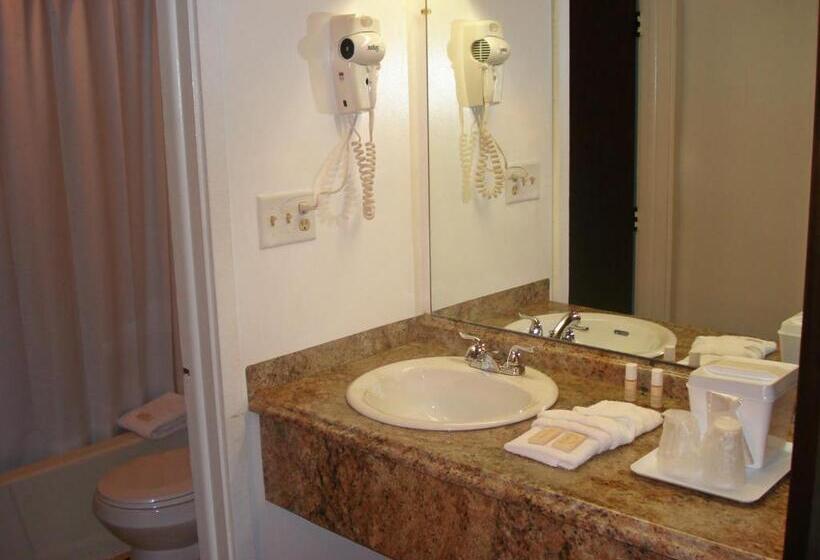 Стандартный Номер Кровать Кинг, Guestlodge