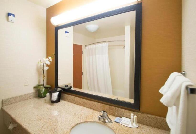 Студио Стандарт Кровать Кинг, Fairfield Inn & Suites Burley