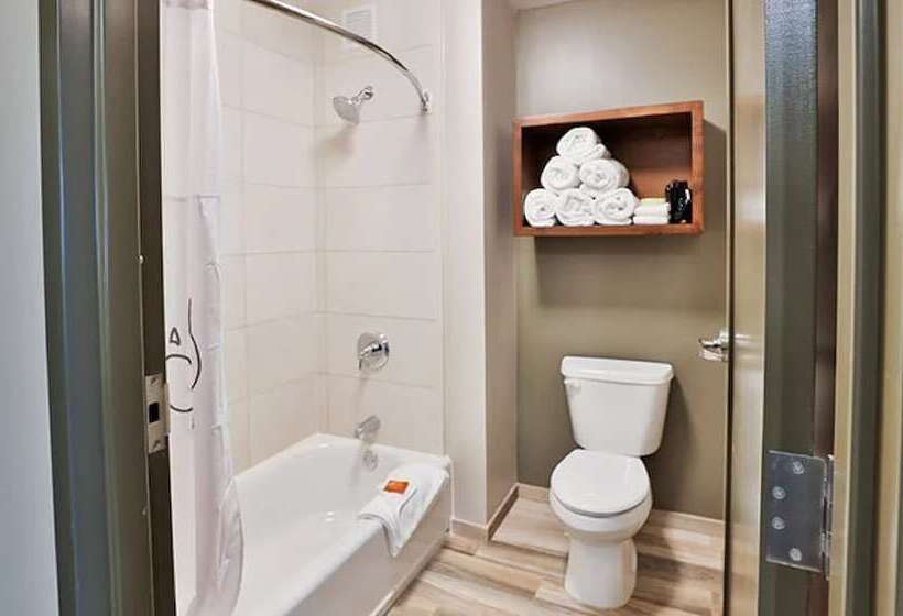 스위트, Great Wolf Lodge Grapevine