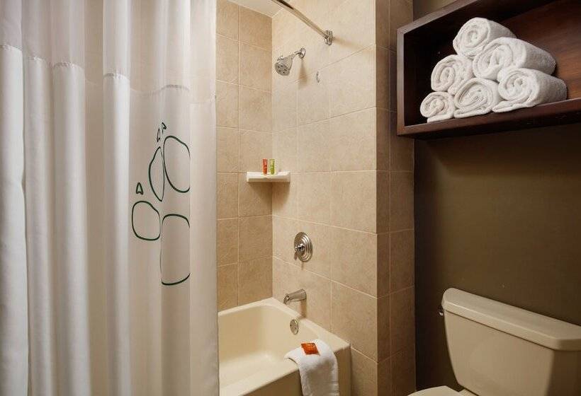 스위트, Great Wolf Lodge Grapevine