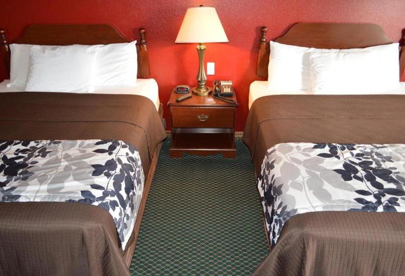 Номер Стандарт 2 Двуспальные Кровати, Western Motel