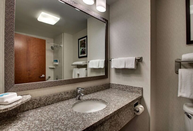 套房, Drury Inn & Suites Charlotte Northlake