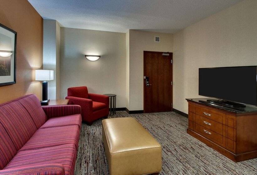 套房, Drury Inn & Suites Charlotte Northlake