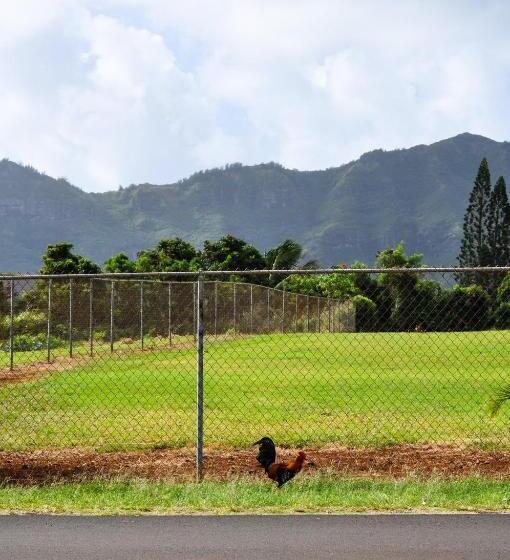 Стандартный Номер Кровать Кинг, Kauai Palms