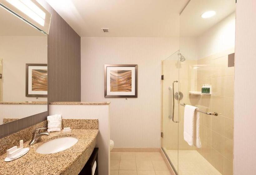 주니어 스위트, Courtyard By Marriott Greenville Downtown