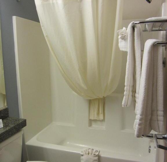 适合残疾人士使用的套间, Microtel Inn And Suites San Angelo