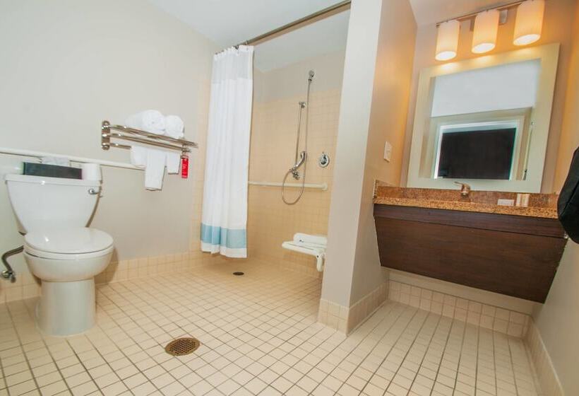 Люкс 2 Спальни, Towneplace Suites By Marriott Scranton Wilkesbarre