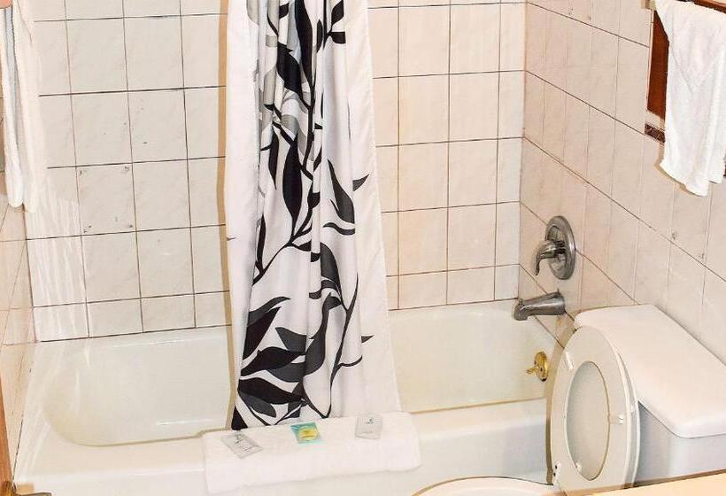 سوئیت با تخت بزرگ, Magnuson Hotel Extended Stay Canton Ohio