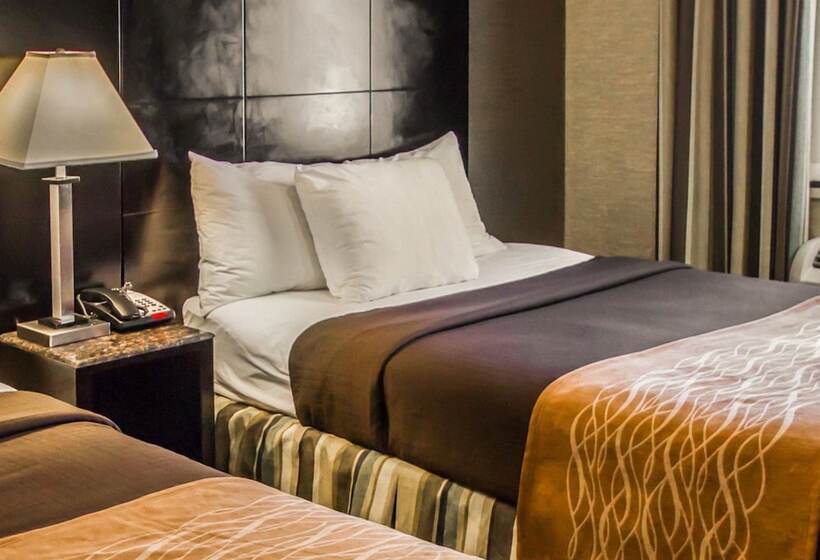 带2个双人床的标准工作室, Rodeway Inn Bronx Zoo