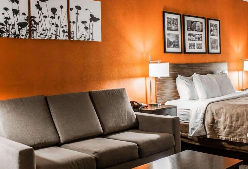 스위트 킹사이즈 침대, Sleep Inn & Suites Fort Campbell