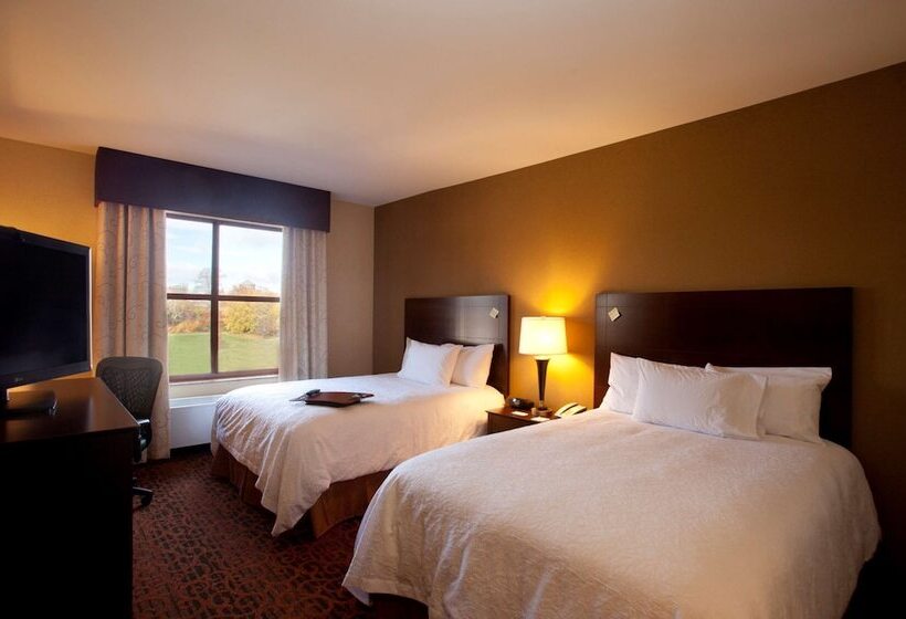Номер Стандарт 2 Двуспальные Кровати, Hampton Inn Marquette/waterfront