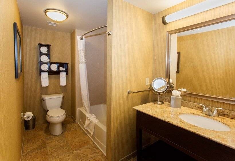 Номер Стандарт, Hampton Inn Marquette/waterfront