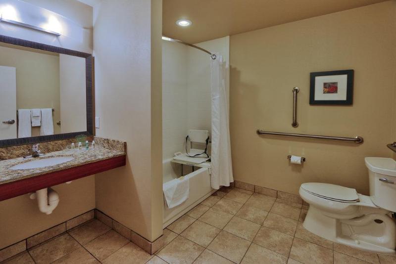 장애인을 위한 킹사이즈 침대 스탠다드 룸, Holiday Inn Roswell, An Ihg