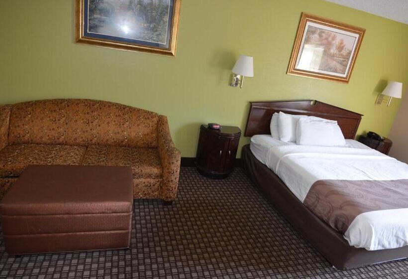 스탠다드 룸 킹사이즈 침대, Jameson Inn And Suites Hazelhurst
