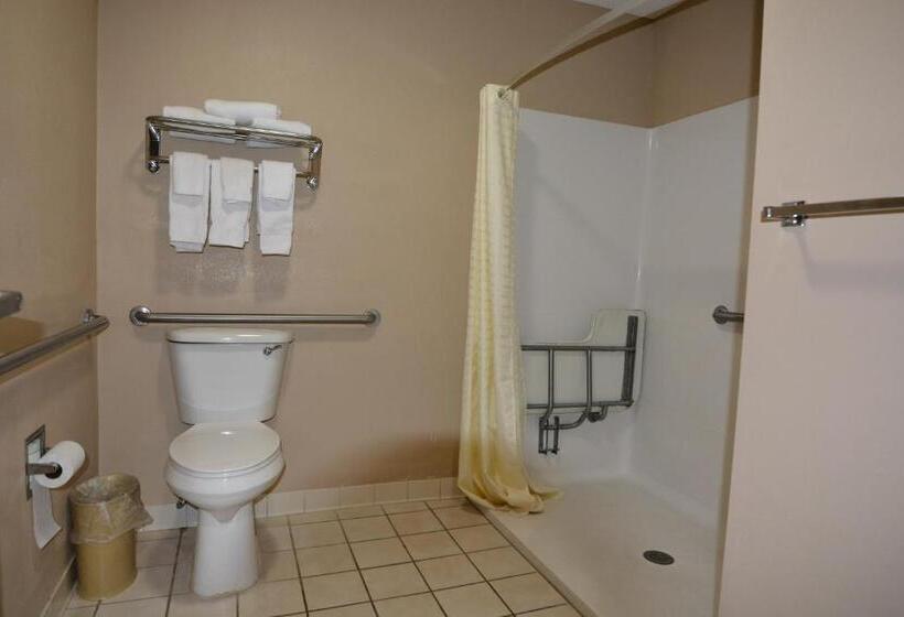 장애인을 위한 킹사이즈 침대 스탠다드 룸, Jameson Inn And Suites Hazelhurst