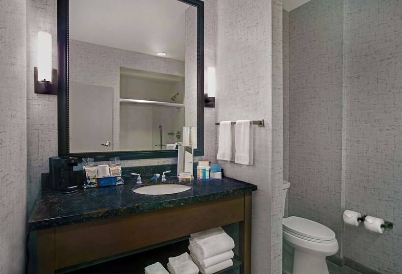 ダブルベッドスタンダードルーム, Hampton Inn & Suites Austin @ The University/capitol
