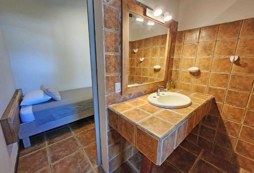Трежместный Номер Economy, Cariblue Beach and Jungle Resort