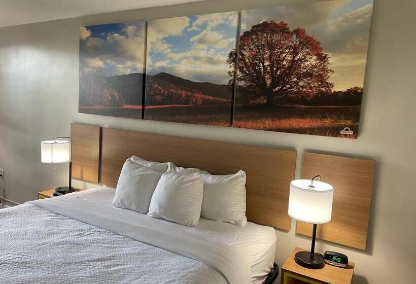 חדר סטנדרט עם מיטת קינג, Days Inn By Wyndham Valdosta/near Valdosta Mall