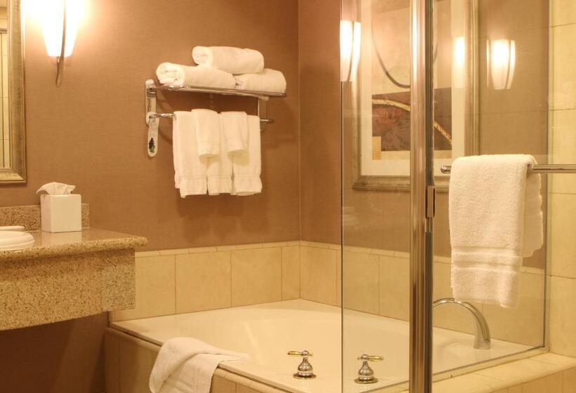 Pokój Standard z Widokiem, Best Western Plus Bayside
