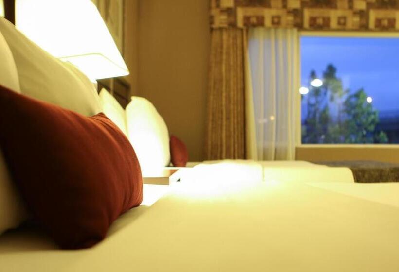 Standaardkamer Aangepast voor Gehandicapten, Best Western Plus Bayside