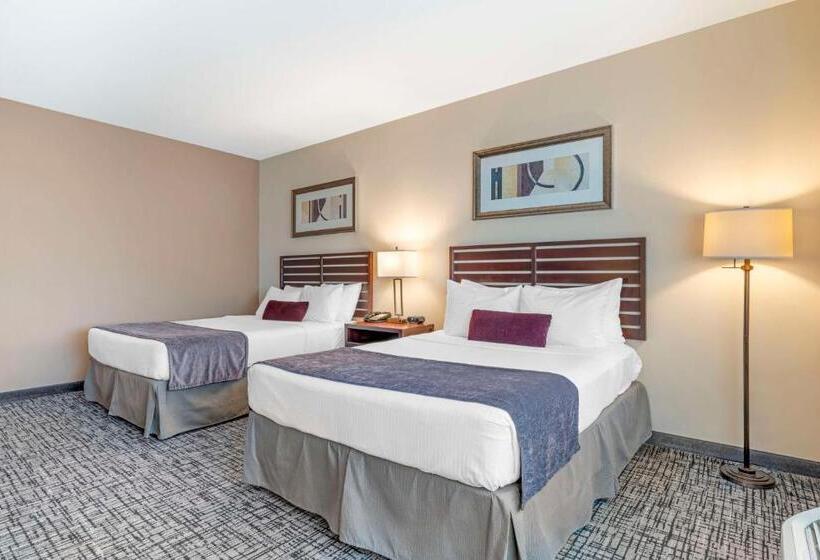 Pokój Typu Standard Przystosowany dla Osób Niepełnosprawnych, Best Western Plus Bayside