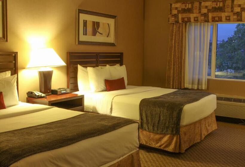 StandaardKamer, Best Western Plus Bayside