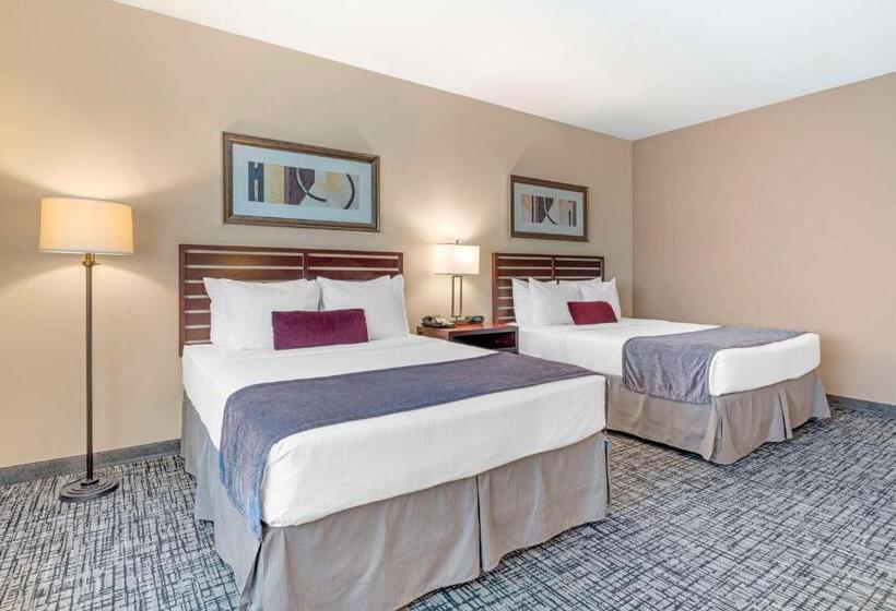 Standaardkamer met Uitzicht op de Stad, Best Western Plus Bayside