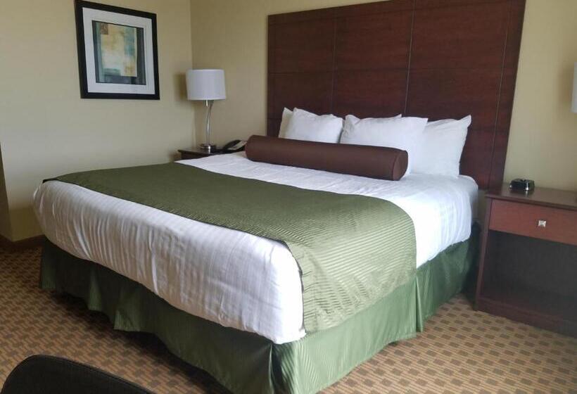장애인을 위한 스탠다드 싱글 룸, Cobblestone Inn & Suites  Bottineau