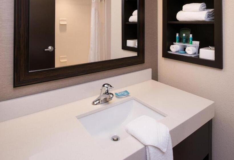 キングサイズベッドのスタンダードルーム, Holiday Inn Express & Suites Monroe, An Ihg
