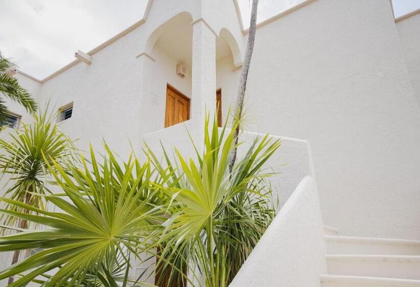 اتاق استاندارد با چشم‌انداز دریا, Pavoreal Beach Resort Tulum