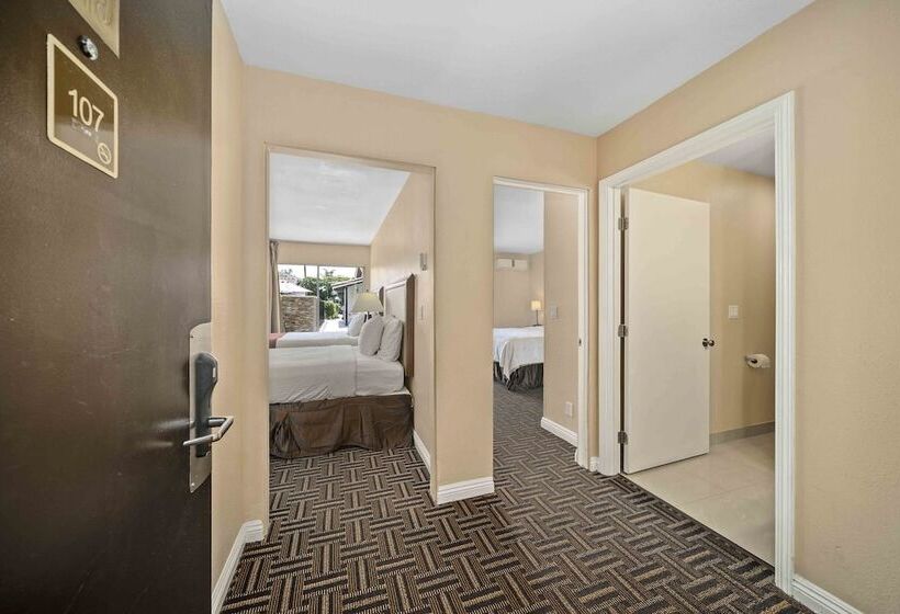 Suite, The Lemon Tree