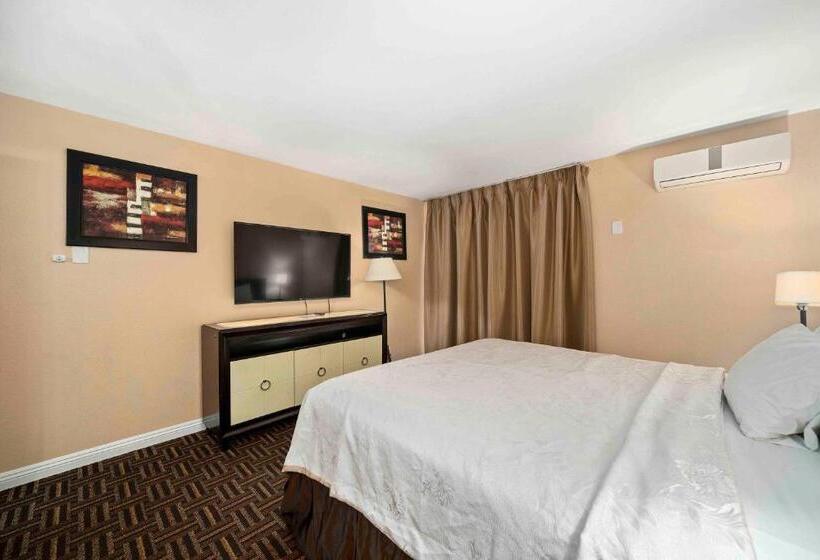 Chambre Standard Individuelle, The Lemon Tree