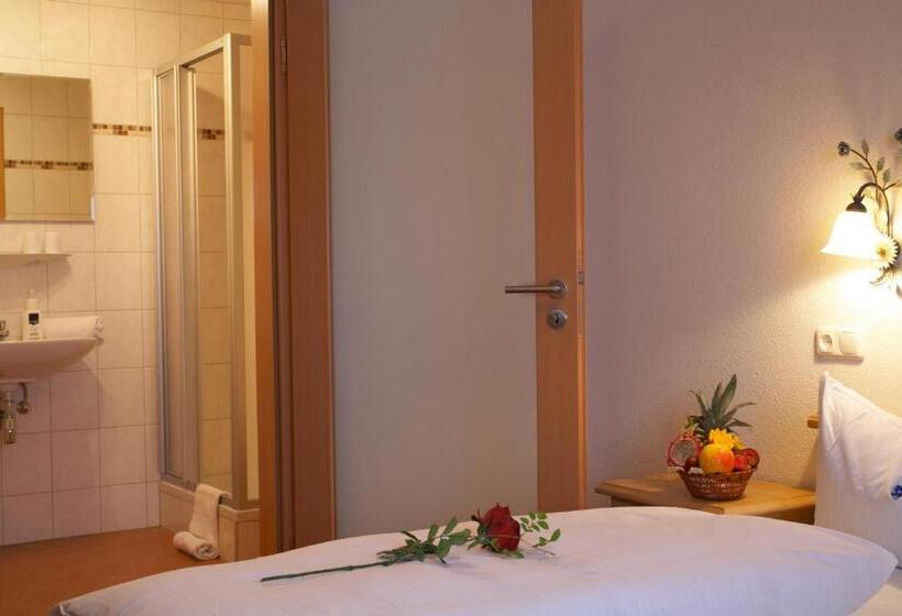 Номер Стандарт Индивидуальный, Alpenhotel Ernberg