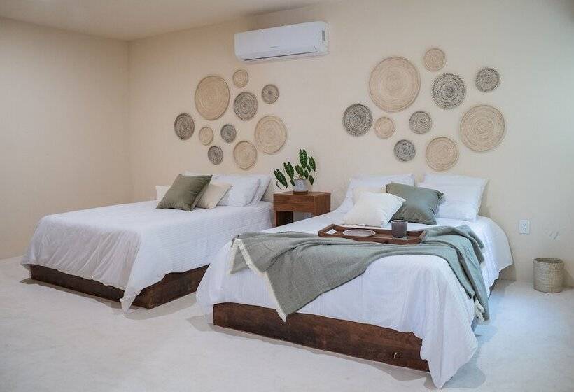سوییت جونیور, Mayanah Bacalar
