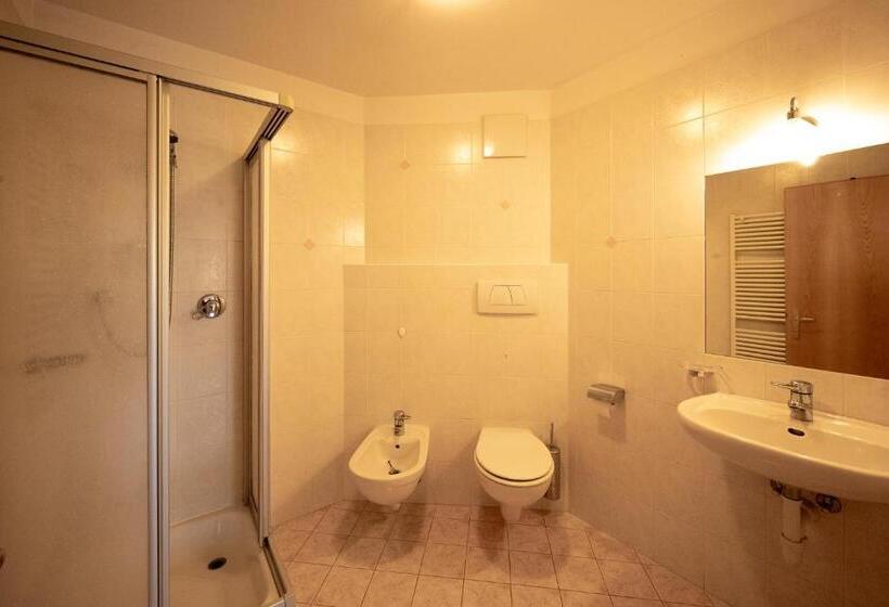 Апартаменты 1 Спальня, Peintnerhof Appartments & Zimmer