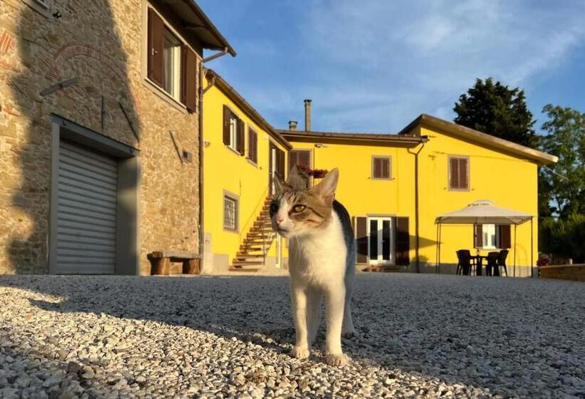 １階の１ベッドルームアパートメント, Il Podere La Casina