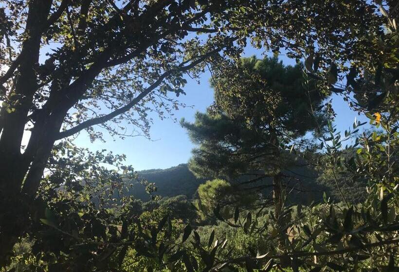 スタンダードトリプルルーム, Il Podere La Casina