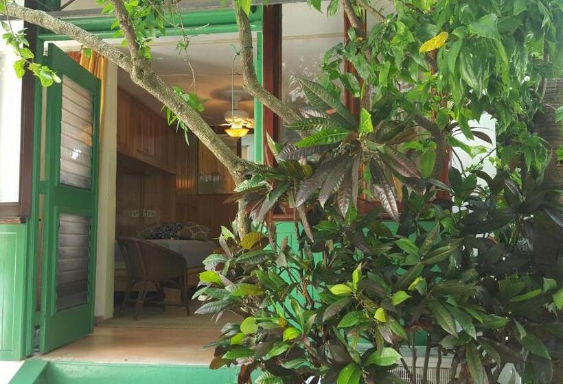 スタンダードスタジオ, Terraza Del Caribe