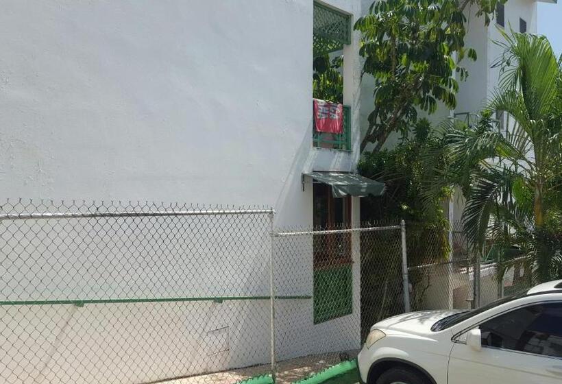 スタンダードスタジオ, Terraza Del Caribe