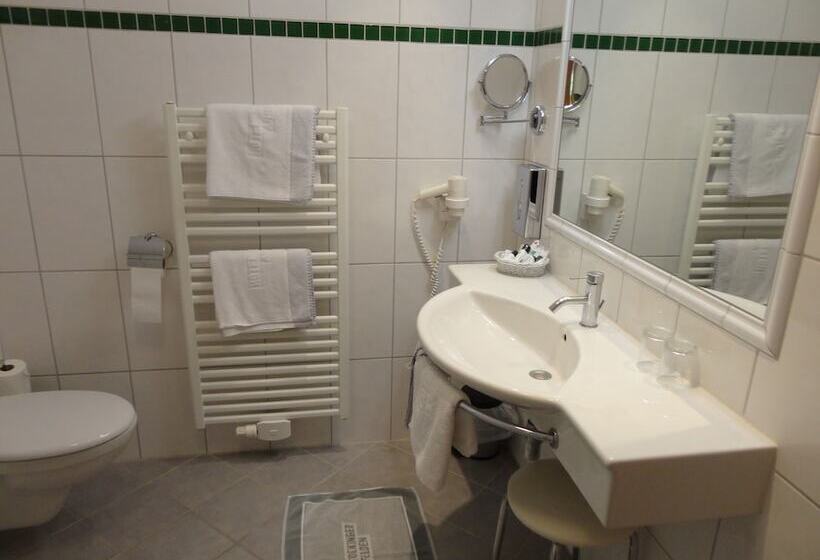 Номер бизнес-класса, Business Hotel Stockinger