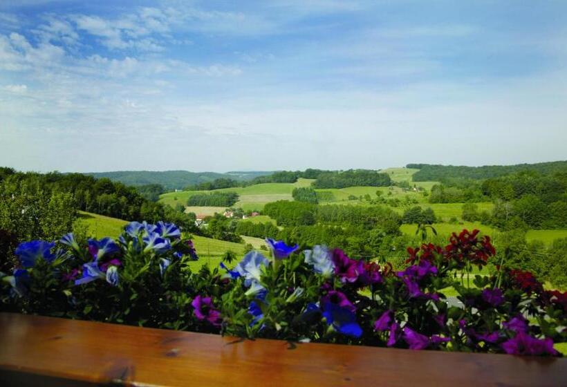Номер Комфорт, Panoramahof Loipersdorf