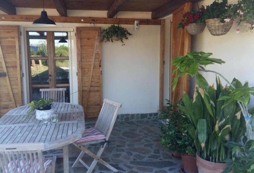 스탠다드 룸 가든 전망, Monte Atena B&b Di Charme