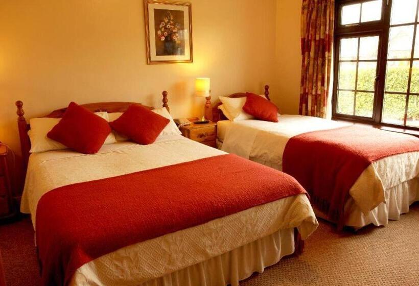 스탠다드 룸, Athlumney Manor Guest Accommodation