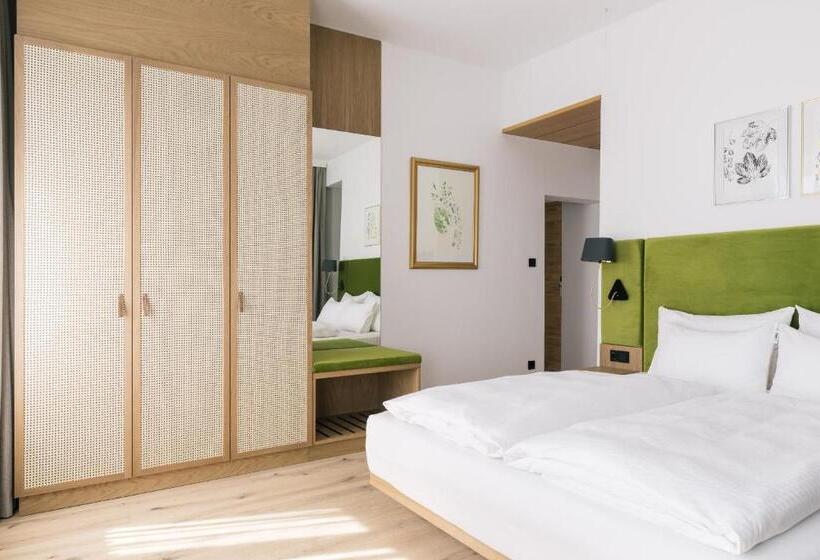 스탠다드 룸, Bio Hotel Schani Wienblick